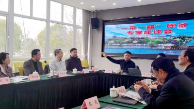 “一带一路”文化艺术发展愿景专家座谈会在上海新虹桥中国书法院举行