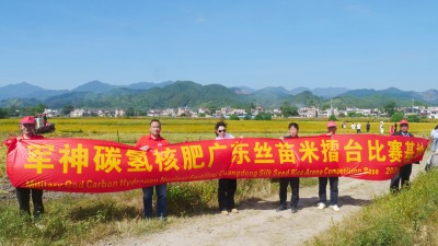 碳氢赋农显成效 核肥助力广东清远丝苗米丰收