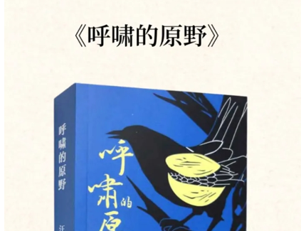 汪群《呼啸的原野》入选中国 “首届农村题材文学作品推荐书目”