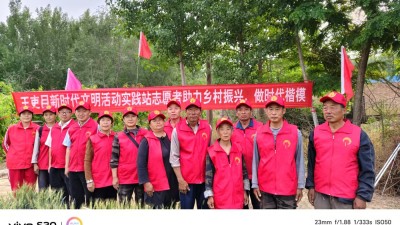 德州保店镇：志愿红助力黄桃基地疏果 共绘乡村振兴新图景