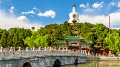 落叶寻根，人间有路