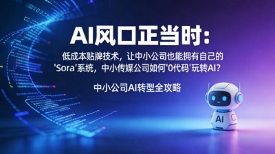 AI风口正当时：低成本贴牌技术，让中小公司也能拥有自己的AI“Sora”系统