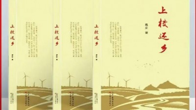 退役军人的家国情怀 乡村振兴的深耕力作—— 魏庄长篇小说《上校还乡》的精神内核​