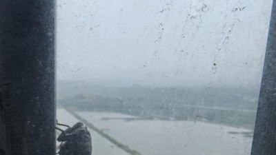 知了沐海风