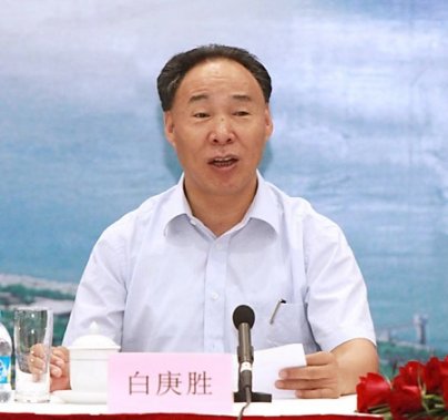 纳西族的骄子-白庚胜