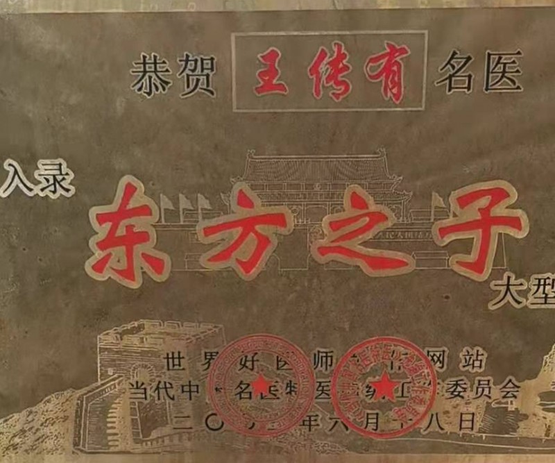 当代名医王传友,御医王天中医传人