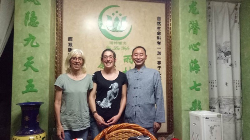 杨照国——杨家将43代天波府医学传人 杨照国——杨家将43代天波府医学传人