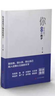 作家杨维松新著《你是我笔下栖落的燕子》出版